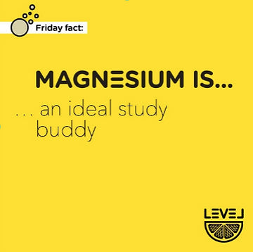 Magnesium is... an ideal study buddy