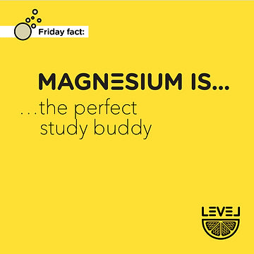 Magnesium is... the perfect study buddy