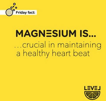 Magnesium is... crucial in maintaining a healthy heart beat